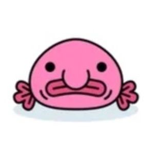 Meet your Posher, Ellen